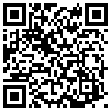 QR Code Handyversion