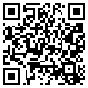 QR Code Handyversion