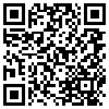 QR Code Handyversion