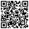 QR Code Handyversion