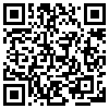 QR Code Handyversion