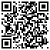 QR Code Handyversion