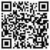 QR Code Handyversion