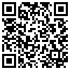 QR Code Handyversion