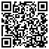 QR Code Handyversion