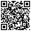 QR Code Handyversion