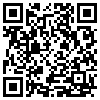 QR Code Handyversion