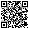 QR Code Handyversion