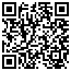 QR Code Handyversion