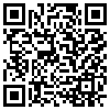 QR Code Handyversion