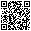 QR Code Handyversion