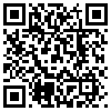 QR Code Handyversion