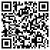 QR Code Handyversion