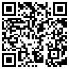 QR Code Handyversion