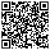 QR Code Handyversion