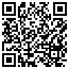 QR Code Handyversion