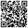 QR Code Handyversion