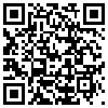 QR Code Handyversion