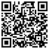 QR Code Handyversion