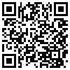 QR Code Handyversion