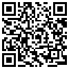 QR Code Handyversion