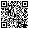 QR Code Handyversion