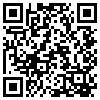 QR Code Handyversion