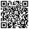 QR Code Handyversion