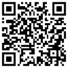 QR Code Handyversion