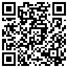 QR Code Handyversion