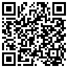 QR Code Handyversion