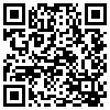 QR Code Handyversion