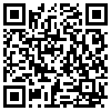 QR Code Handyversion