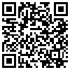 QR Code Handyversion