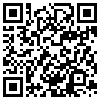 QR Code Handyversion