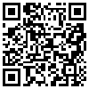 QR Code Handyversion