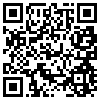 QR Code Handyversion