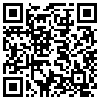 QR Code Handyversion