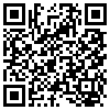 QR Code Handyversion