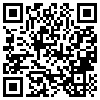 QR Code Handyversion