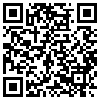 QR Code Handyversion