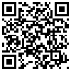 QR Code Handyversion