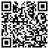 QR Code Handyversion