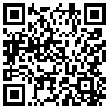 QR Code Handyversion