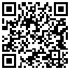 QR Code Handyversion