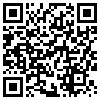 QR Code Handyversion