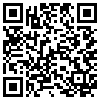 QR Code Handyversion