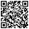 QR Code Handyversion