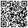 QR Code Handyversion