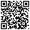 QR Code Handyversion